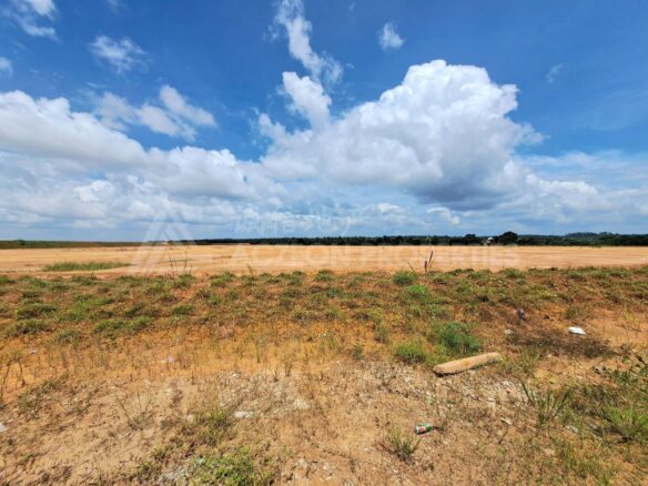 Seelong Industrial Land