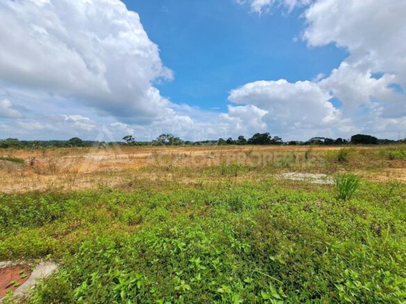 Seelong Industrial Land