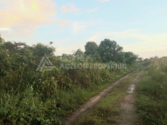 Kulai Agricultural Land