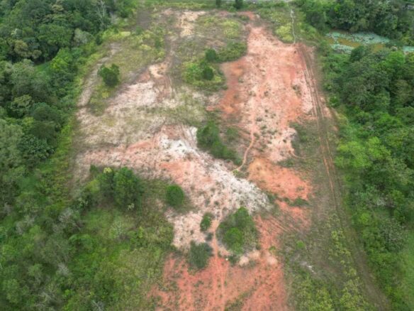 Ulu Tiram Industrial Land