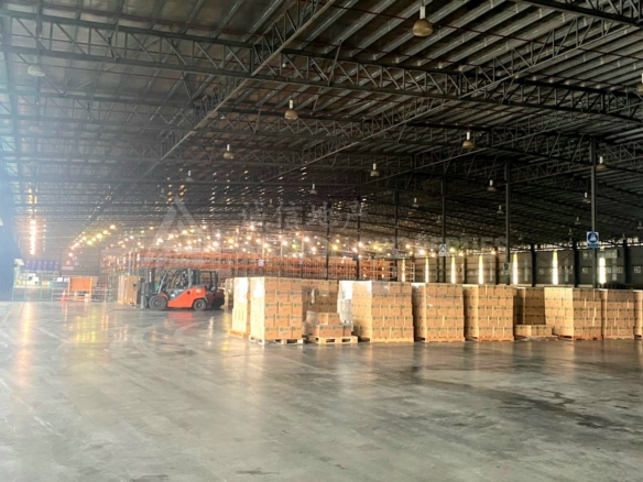PTP Bonded Warehouse For Rent
