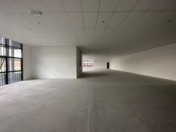 Gelang Patah Factory For Sale