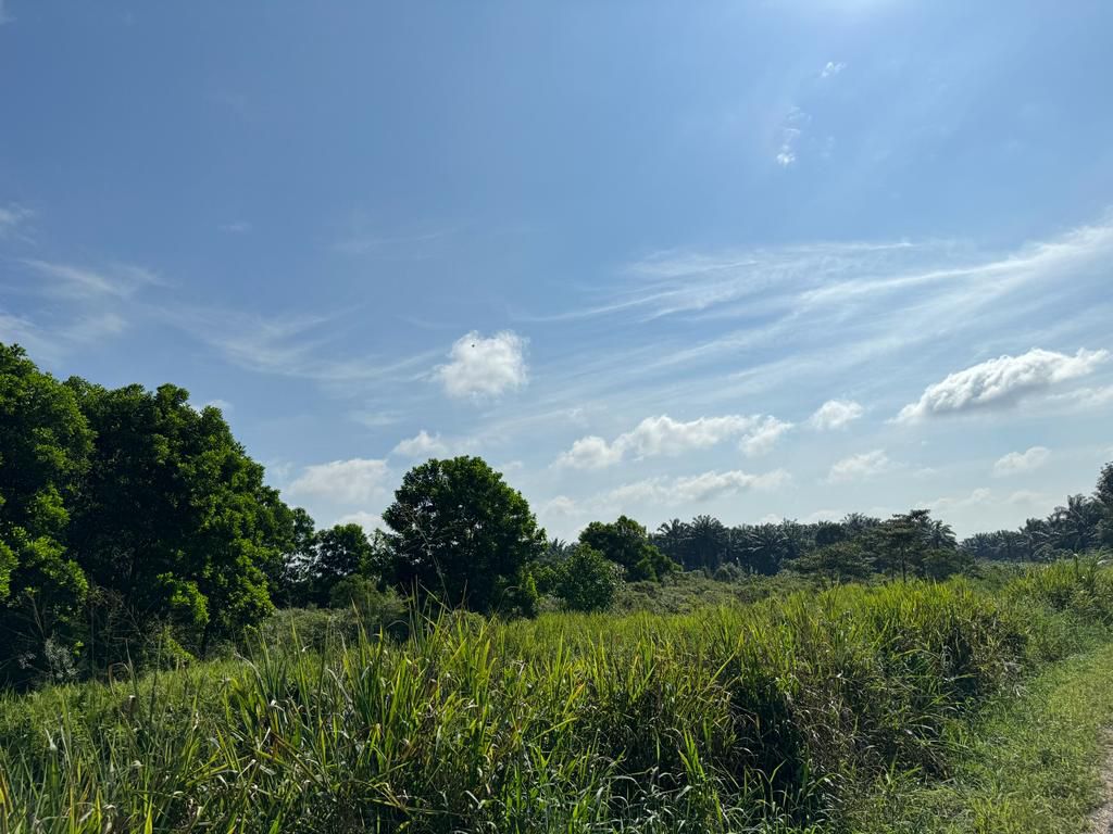 Pekan Nanas 10-acre freehold medium industrial land for sale