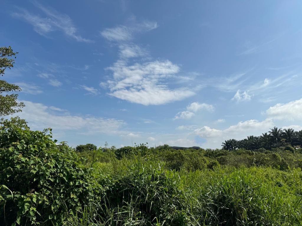 Pekan Nanas 10-acre freehold medium industrial land for sale