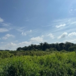 Pekan Nanas 10-acre freehold medium industrial land for sale