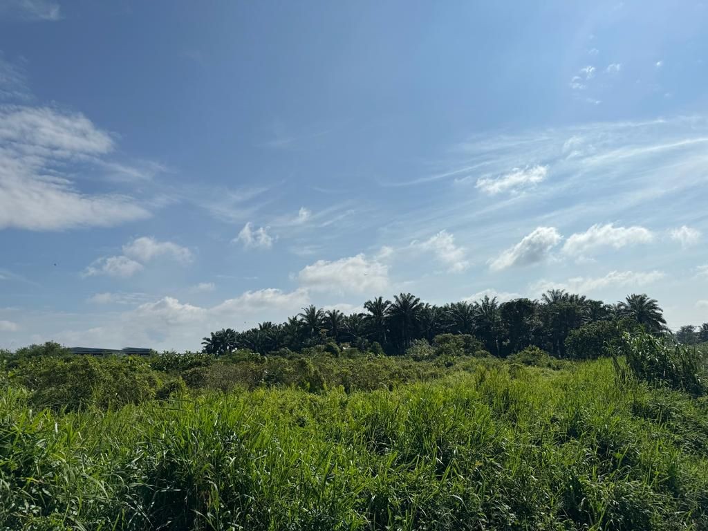 Pekan Nanas 10-acre freehold medium industrial land for sale